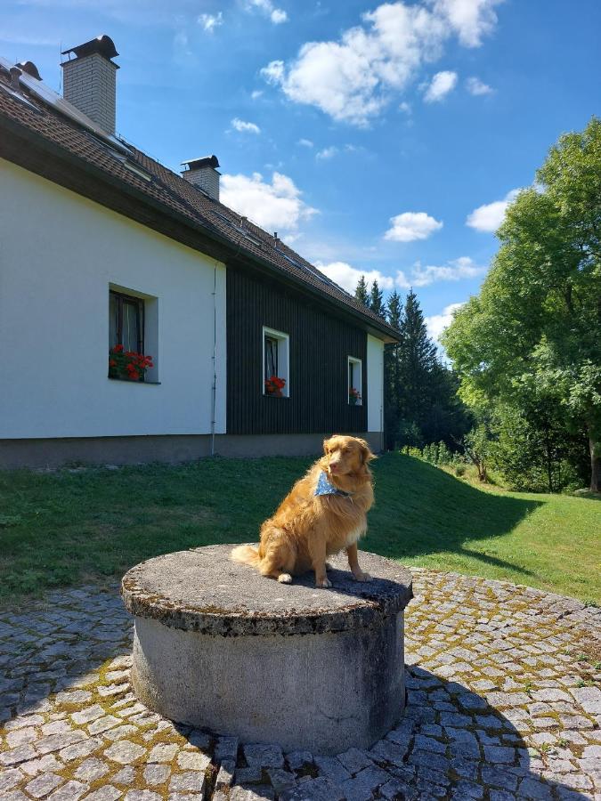 Penzion Na Vysluni Strasin Экстерьер фото